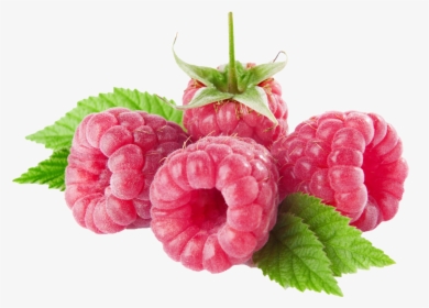 Raspberries Png Clipart, Transparent Png, Transparent PNG