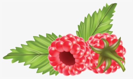 Rraspberry Png Image, Transparent Png, Transparent PNG
