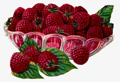Transparent Raspberries Png, Png Download, Transparent PNG