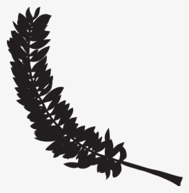 Bird Feather Clip Art, HD Png Download, Transparent PNG