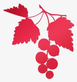 Transparent Raspberry Png Logo, Png Download, Transparent PNG