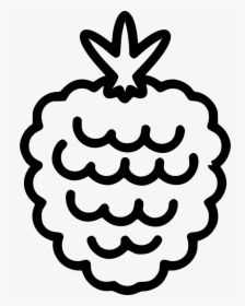 Raspberry Berry, HD Png Download, Transparent PNG
