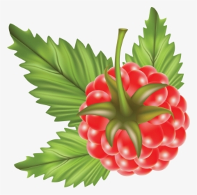 Download For Free Raspberry Icon Png, Transparent Png, Transparent PNG