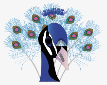 Bird Peacock Feather Beautiful Animal, HD Png Download, Transparent PNG