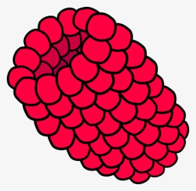 Red Raspberry Svg Clip Arts, HD Png Download, Transparent PNG