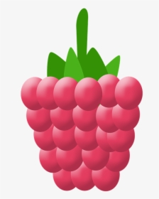 Raspberry Png, Transparent Png, Transparent PNG