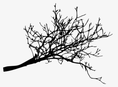 Free Png Tree Branches Silhouette Png Images Transparent, Png Download, Transparent PNG