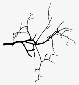Tree Branch Silhouette Png, Transparent Png, Transparent PNG