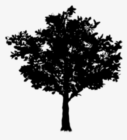 Oak Twig Tree Branch Free Frame Clipart, HD Png Download, Transparent PNG