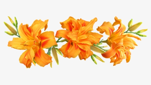 Day Lilies, Flowers, Arrangement, Summer, HD Png Download, Transparent PNG