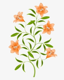 Orange Lily Png, Transparent Png, Transparent PNG