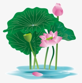 Hand Painted Plant Flower Water Lily Png And Vector, Transparent Png, Transparent PNG