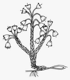 Merten S Mountain Lily Clip Arts, HD Png Download, Transparent PNG
