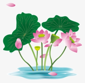 Hand Painted Flower Plant Water Lily Png And Vector, Transparent Png, Transparent PNG