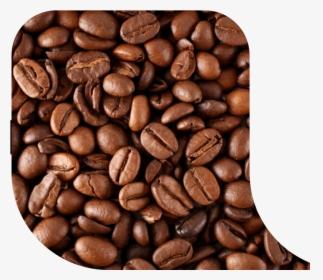 The Surface Of The Coffee Bean Is Dry, Without Oil, HD Png Download, Transparent PNG