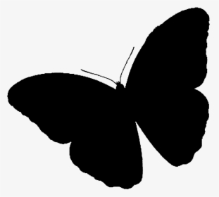 Brush-footed Butterflies Clip Art Silhouette Black, HD Png Download, Transparent PNG