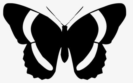 Butterfly Silhouette Png, Transparent Png, Transparent PNG