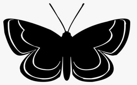 Butterfly Silhouette PNG Images, Transparent Butterfly Silhouette Image ...