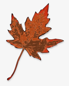 Maple, Leaf, Fall, Yellow, Brown, Decay, Nature, Autumn, HD Png Download, Transparent PNG