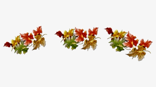 Leaves, HD Png Download, Transparent PNG