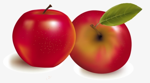 Fruit Royalty Free Stock Photography Illustration, HD Png Download, Transparent PNG