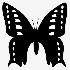 Animal Butterfly Flying Free Picture, HD Png Download, Transparent PNG