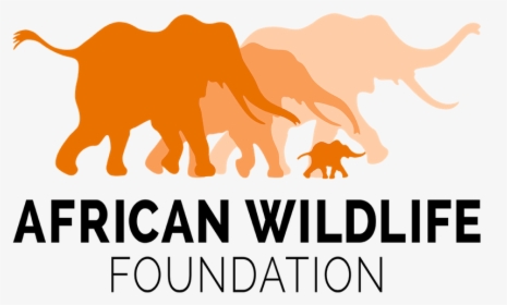 African Wildlife Foundation Logo, HD Png Download, Transparent PNG