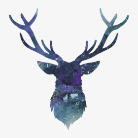 #deer #antler #head #horn #hipster #ftestickers, HD Png Download, Transparent PNG