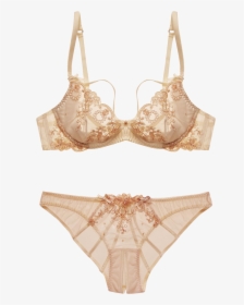 Panties Png, Transparent Png, Transparent PNG
