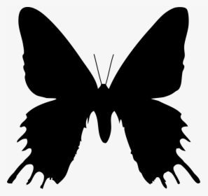 Butterfly, Silhouette, Nature, Decorative, Black, Shape, HD Png Download, Transparent PNG