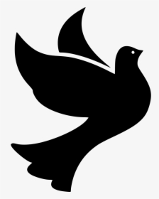 Bird Birds Dove Doves Flight Fly Flying Peace, HD Png Download, Transparent PNG