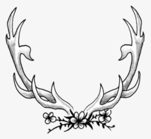 #deer #antlers - Sketch, HD Png Download, Transparent PNG