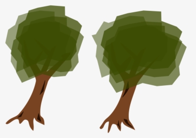 Plant,leaf,tree, HD Png Download, Transparent PNG