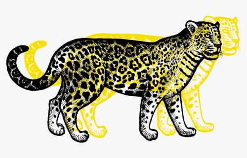 Transparent Leopard Png, Png Download, Transparent PNG