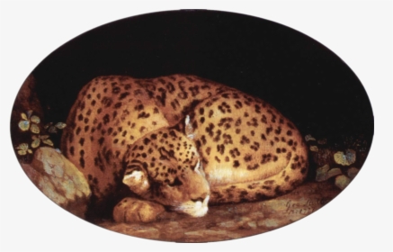 File - George Stubbs - Leopard, HD Png Download, Transparent PNG