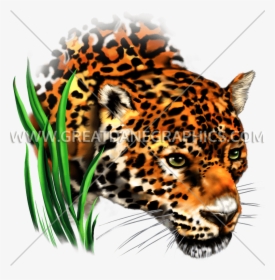 Leopard Football Cliparts Making - Clip Art, HD Png Download, Transparent PNG