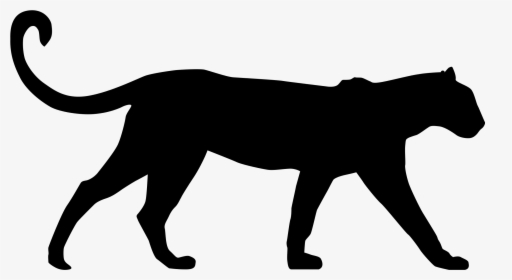 Cougar Clipart Bearcat - Leopard Clipart Silhouette, HD Png Download, Transparent PNG
