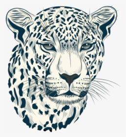 Cheetah Head Png - Realistic Cheetah Face Drawings, Transparent Png, Transparent PNG