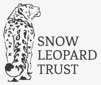Slt Logo 2016 300ppi Transparent Blacktext 01 - Snow Leopard Trust Logo, HD Png Download, Transparent PNG
