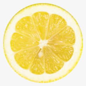 Summer Collection - Lemon Slice, HD Png Download, Transparent PNG