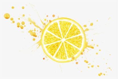 #lemonslice #lemon #lemonade #lemons #yellow #citrus - Splatter Gold Splash Png, Transparent Png, Transparent PNG