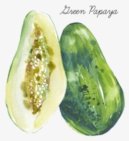Green Papaya - Gourd, HD Png Download, Transparent PNG