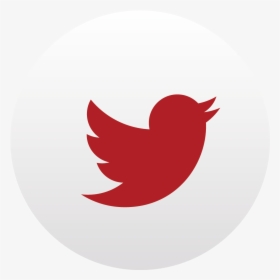 Twitter Logo Png Transparent Background Red - Twitter Logo Transparent, Png Download, Transparent PNG