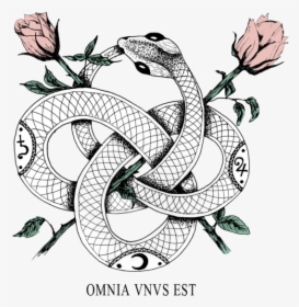 Omnia Vnvs Est, HD Png Download, Transparent PNG