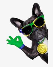 Sunglasses Bulldog Photography Dog French Royalty-free - Brazil Soccer Dog, HD Png Download, Transparent PNG