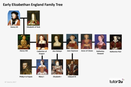 Tudor Family Tree Henry Vii, HD Png Download, Transparent PNG
