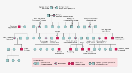Haemophilia Queen Victoria Family Tree , Png Download - History Queen Victoria Family Tree, Transparent Png, Transparent PNG