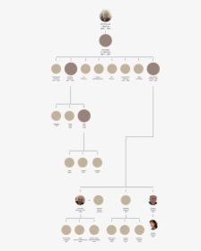 Transparent Family Tree, HD Png Download, Transparent PNG