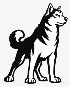 Husky Png - Transparent Northeastern Huskies Logo, Png Download, Transparent PNG