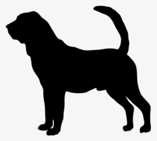 Bloodhound Siberian Husky Black And Tan Coonhound Affenpinscher - Belgian Malinois Fence Sign, HD Png Download, Transparent PNG